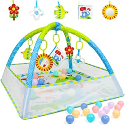 Dr.Rapeti Baby Play Gym Mat with Ball Pit Activity Gym Center Tummy Time Mat Thickened Mat Sensory Exploration Motor Skill Development for Newborn Infant Baby Toddlers