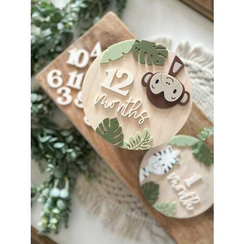 Jungle Baby Milestone, Interchangeable Monthly Milestone, Monkey, Safari, Zebra