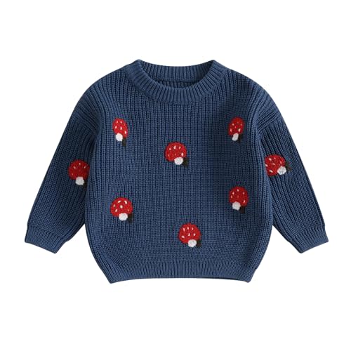 Toddler Baby Girl Knit Sweaters Oversized Long Sleeve Embroidery Shirt Top Newborn Infant Cute Fall Winter Clothes