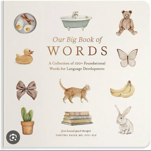 Our Big Book of First Words: A Collection of 100+ Foundational Words for Language Development (Our Little Adventures Series)