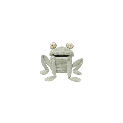 Fred the Frog Mini Basket