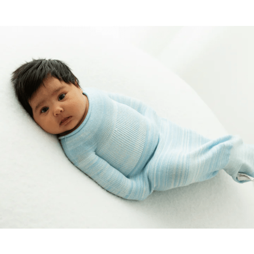 Blue Swaddle Sleep Sack – Swaddelini