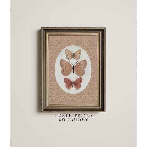 Vintage Butterfly Art Print, Cottagecore Nursery Girls Room Decor Digital PRINTABLE Download, Antique Moth Wall Art, North Prints 7-197