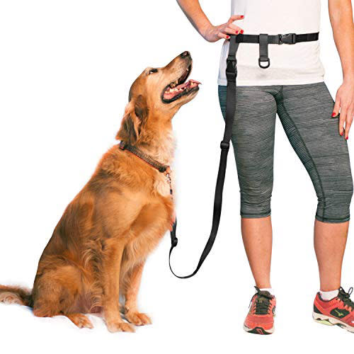 Waist Leash for Stroller Walks with Remi