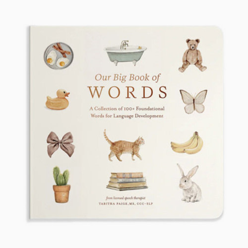 Our Big Book of First Words