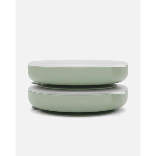Suction Plate + Lid