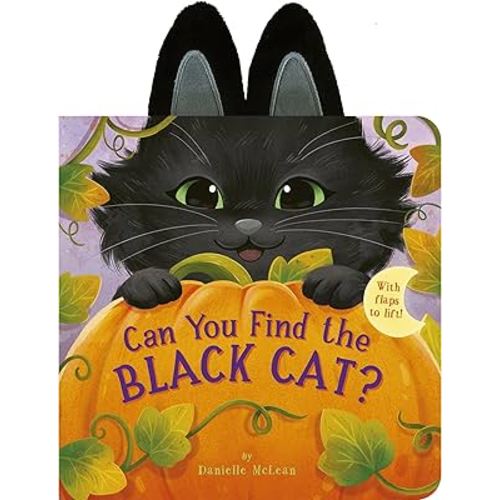 Can You Find the Black Cat?: With flaps to lift!