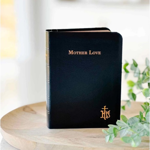 Mother Love Book - Revised