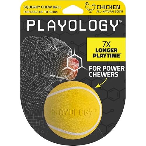 Playology Squeaky Chew Ball for Dogs | Engaging All-Natural Chicken Scented Toy for Medium Dogs up to 50lbs | Squeak, Fetch, and Play