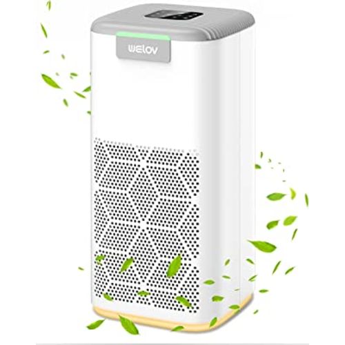 Air Purifiers for Home Large Room: Welov Air Purifiers for Pets Allergy, 1077 Sq Ft Coverage, Auto Mode, Removes 99.97% of Pet Hair Dander Pollen Smoke Dust Odor, 23dB Air Purifiers for Bedroom, P200S
