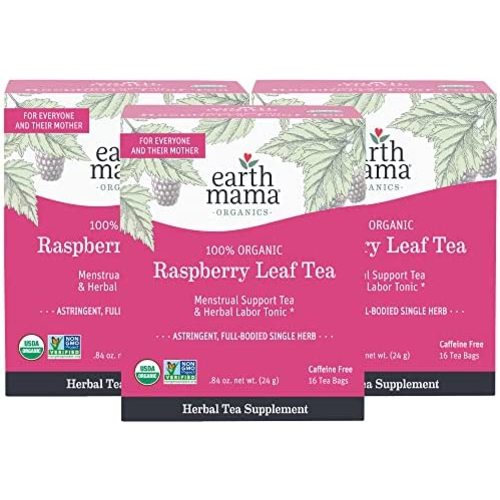 Earth Mama Organic Raspberry Leaf Tea Bags for Labor Tonic and Menstrual Support, 16-Count (3-Pack)