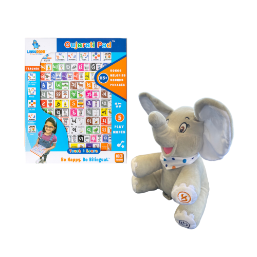 Gujarati Bundle SOLD OUT!! Pre-order New & Improved Version for delivery in Apr. 2024
