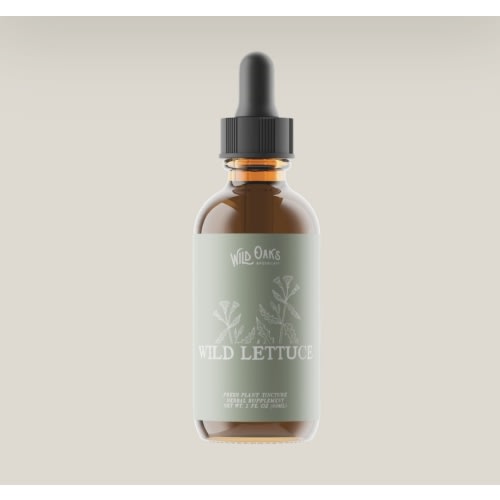 Wild Lettuce Tincture — Wild Oaks Apothecary