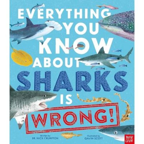Everything You Know About Sharks Is Wrong! - (everything You Know About... Is Wrong) By Nick Crumpton (hardcover)