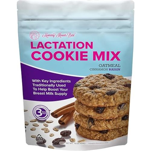 Lactation Cookies Mix - Oatmeal Breastfeeding Cookie Supplement Support for Breast Milk Supply Increase (Cinnamon Raisin, 1 Pound (Pack of 1))