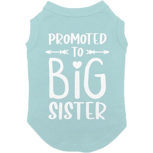 Promoted to Big Sister - Dog Shirt (Chill, 3X-Large)