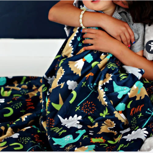 Dinosaur Land Blanket | Minky Couture
