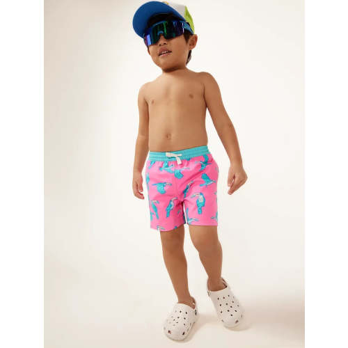 Chubbies - The Tiny Toucan Do Its