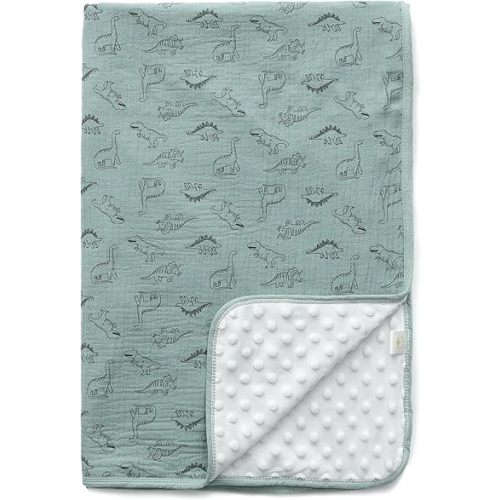 Baby Blanket for Unisex Boys Girls Nursery Minky Blankets with Muslin Cotton Front Dotted Fleece Backing Double Layer Bed Throws Pattern Sage Green Dinosaur