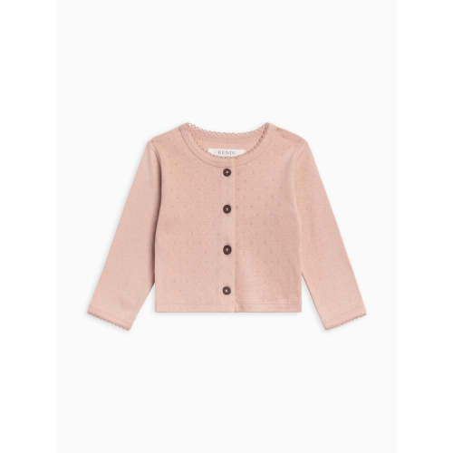 Clara Pointelle Button Down Cardigan