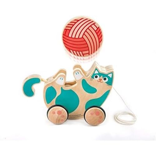 Hape Wooden Walk-A-Long Kitten Pull Toy| Roll & Rattle Push Pull Toy for Toddler| Montessori Toys for Walking Toddlers, Green