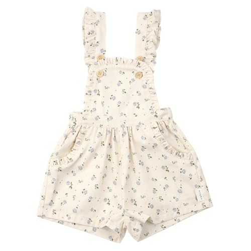 HOOLCHEAN Baby Toddler Girls Spring Summer Blue Flower Ruffled Shortalls