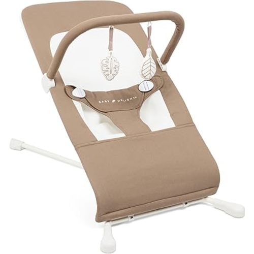 Baby Delight Highland Organic Baby Bouncer | Infant | 0 – 6 Months | 3-Position Recline | Organic Mocha