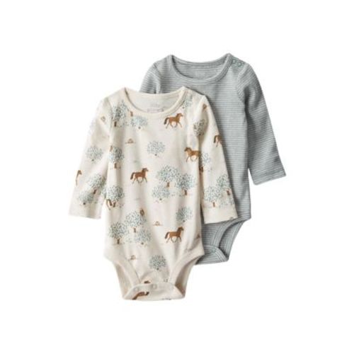 Baby Boys Printed Bodysuits - 2 Pack
