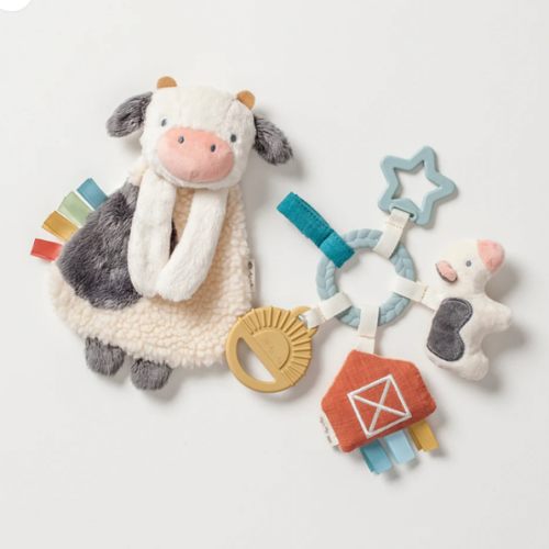 Baby Gift Set - Unique & Fun with Itzy Ritzy's Bitzy Busy Gift Set