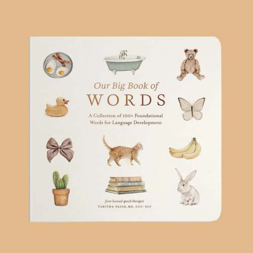 Our Big Book of First Words