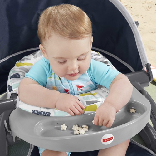 Fisher-Price On-the-Go Sit-Me-Up Baby Floor Seat - Citron Wedge