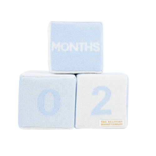 Blaylock Blocks - Blue