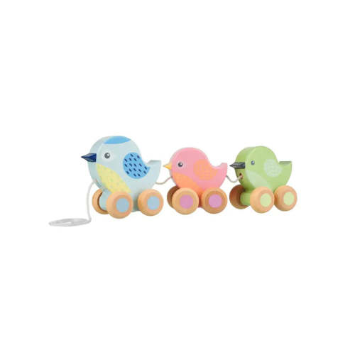 Pull Along Birdies