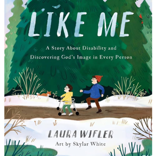 Like Me: A Story About Disability and Discovering God’s Image in Every Person