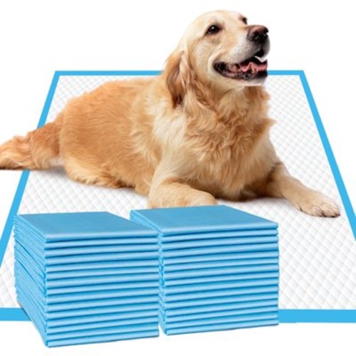 IMMCUTE Puppy Pads Extra Large,28’’X34’’,XL Dog Pee Pads,40ct Potty Pads,Super Absorbent Puppy Training Pads,Leak-Proof Disposable Doggy Pads,6 Layers Protection Doggie Pads
