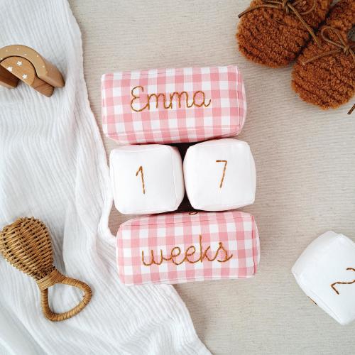 Personalized Blush Fabric Monthly Milestone Blocks - Gingham Baby Growth Tracker - First Year Photo Props