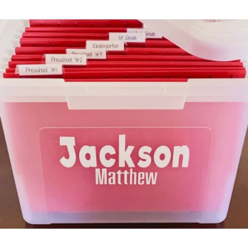 Keepsake Organized File Bin