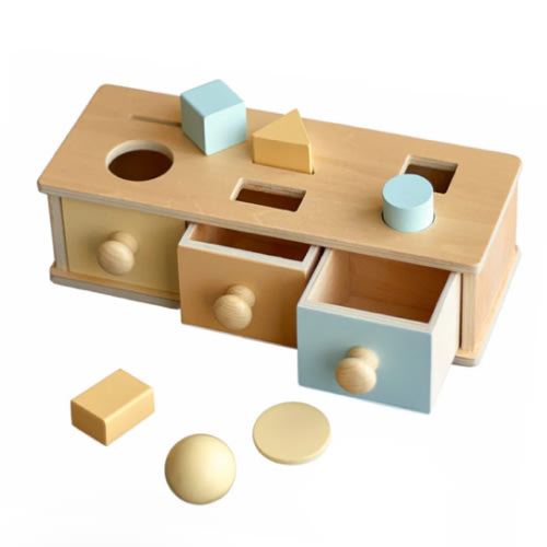 Montessori 3 in 1 Multi-Function Box - Coin Box Shape Sorter for Early – GrowGo Kids