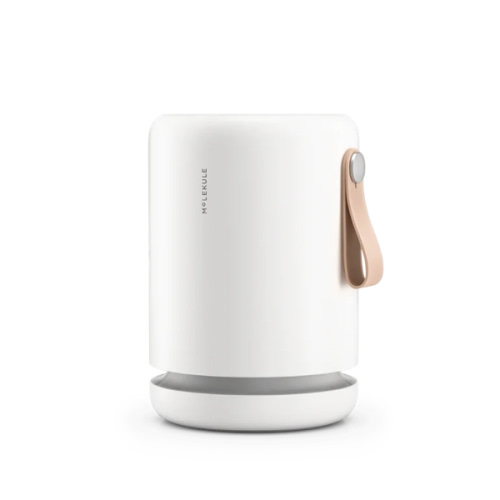 Air Mini+ Purifier | Molekule