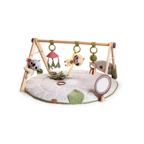Tiny Love Boho Chic Luxe Developmental Gymini & Reviews | Wayfair