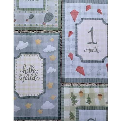 Baby Boy Milestone Cards – 12 Month Vintage Style Monthly Photo Prop Set – Classic Boy Nursery Decor