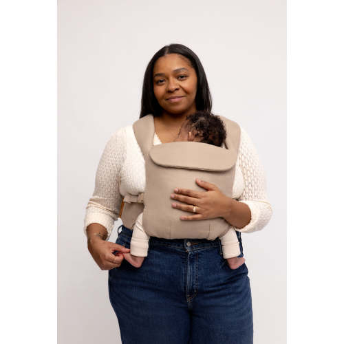 Desert Lark - Aerial Carrier – WildBird