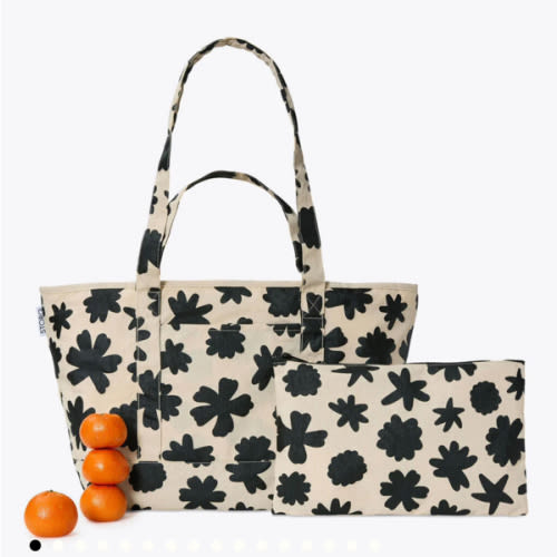 Packable Park Carryall