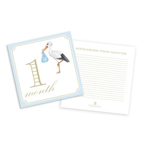 Boy Milestone Cards | Blue | Watercolor | Monthly Photos | Baby Photos | Adorable | Grandmillennial