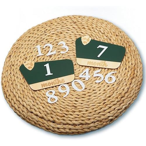 National Park Baby Milestone Markers - Wooden Monthly Signs for 1-12 Months, Interchangeable Nature-Themed Growth Tracker, Rustic Nursery Decor, Woodland Baby Announcement Board, Photoshoot Props