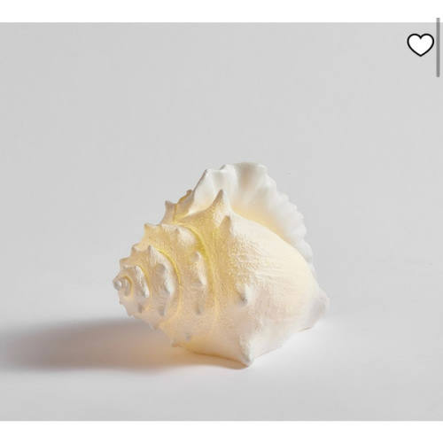 Lit Coastal Objects | Pottery Barn