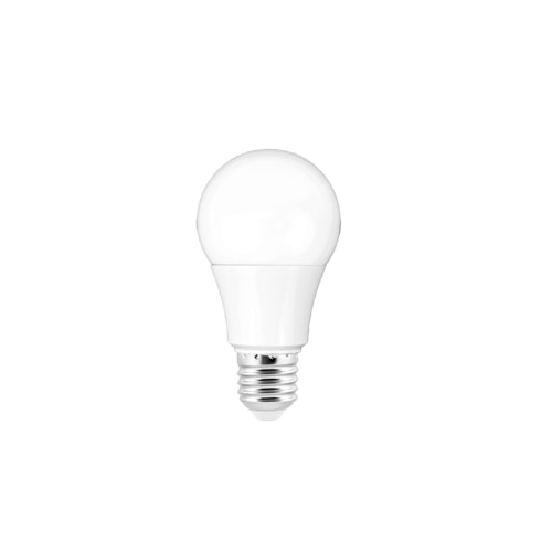 Full Spectrum Light Bulb