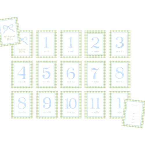 Blue and Green Gingham Watercolor Monthly Milestone Cards | Baby Nursery Decor