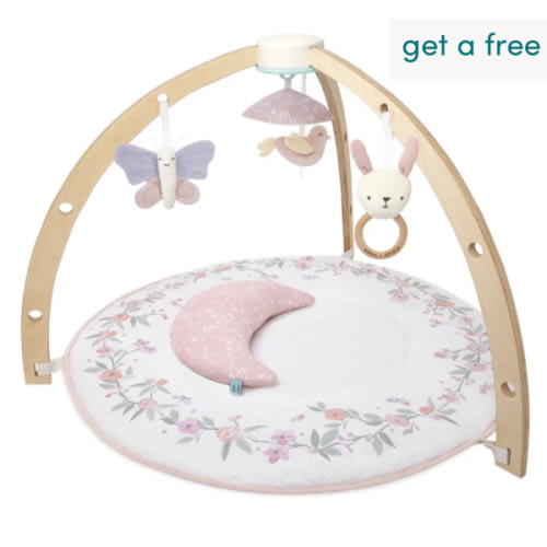 Baby Gym | Premium Baby Activity Gym | aden + anais