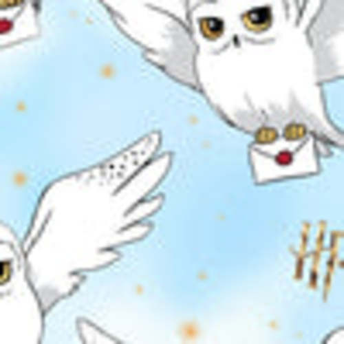Harry Potter™ Hedwig's Sky Mail Crib Sheet